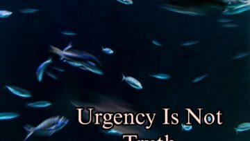 Urgency Is Not Truth