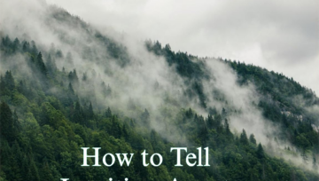 How to Tell Intuition Apart From Mental Noise