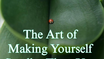 The Art of Making Yourself Smaller Than You Are
