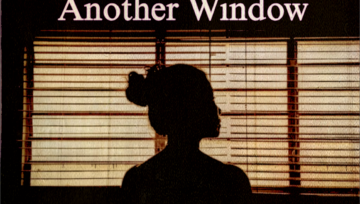 Another Window Part II: The View You Never Planned For